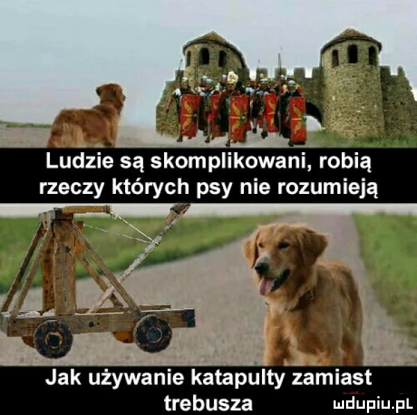 ludzie są skomplikowani robią rzeczy których psy nie rozumieją jak używanie katapulty zamiast trebusza lurjupiupl