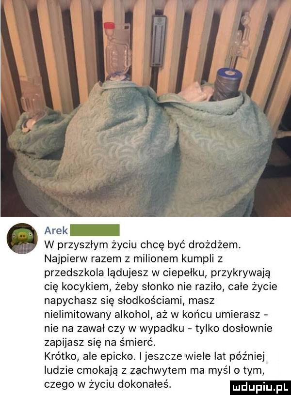 arek w przyszłym życiu chcę być droż m. najpierw razem z milionem kumpli z przedszkola lądujesz w ciepelku przykrywają cię kocykiem żeby slonko nie razilo cale życie napychasz się słodkościami masz nielimitowany alkohol aż w końcu umierasz nie na zawal czy w wypadku tylko doslownie zapijasz się na śmierć. krótko ale epicko. ijeszcze wiele lat później ludzie cmokają z zachwytem ma myśl o tym czego w życiu dokonałeś