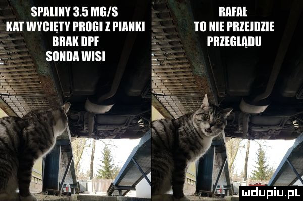 spiiliiiv     mais mm iiiii wygiętv i iiiiei l pianki i ll icie fiizeiiizie iiiiiiii le fiizegiiiiiii siiiiiiii wisi