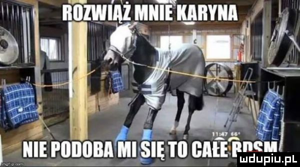 rs firm mduplu pl juli mail ganiał wii el