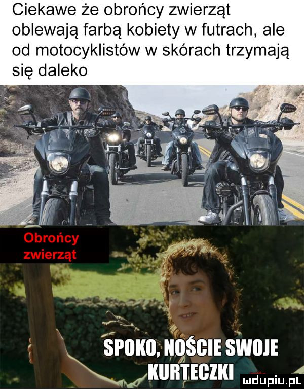 ciekawe że obrońcy zwierząt oblewają farbą kobiety w futrach ale od motocyklistów w skórach trzymają się daleko śrnkn ńnśmtsinuii x kun ticzm w ff