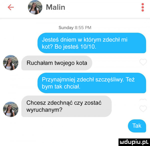 malin sunday     pm jesteś dniem w którym zdechł mi kot bojesteś      . ruchałam twojego kota przynajmniej zdechł szczęśliwy. też bym tak chciał. chcesz zdechnąć czy zostać wyruchanym