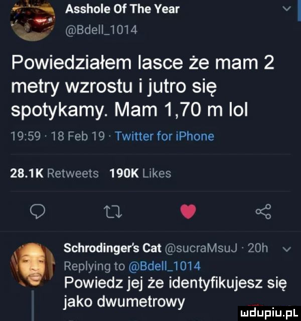 e ą asshole or tee year v. bdellj     powiedziałem iasce że mam   metry wzrostu i jutro się spotykamy. mam      m ibl          feb    twitterfor iphone     k retweets    k limes u. z repiying to bdeil      powiedz jej że identyfikujesz się jako dwumetrowy o   schrodinger s cat sucramqu   h v