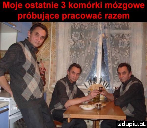 moje ostatnie   komórki mózgowe mhupiupl