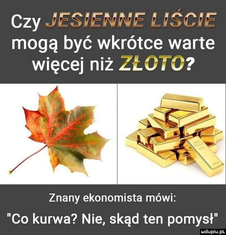 Jesienne liście