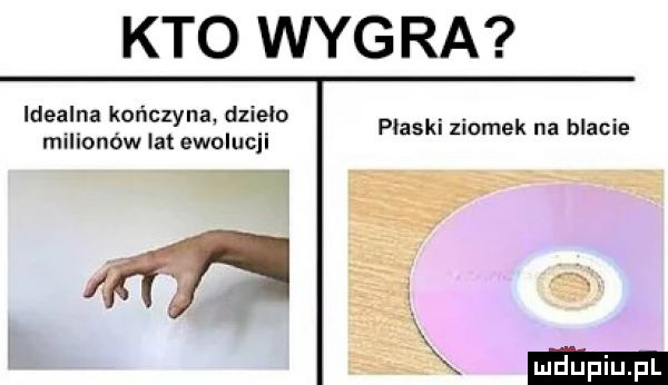 kto wygra idealna kończyna dzielo milionów lat ewulucjl płaski ziomek na blacie