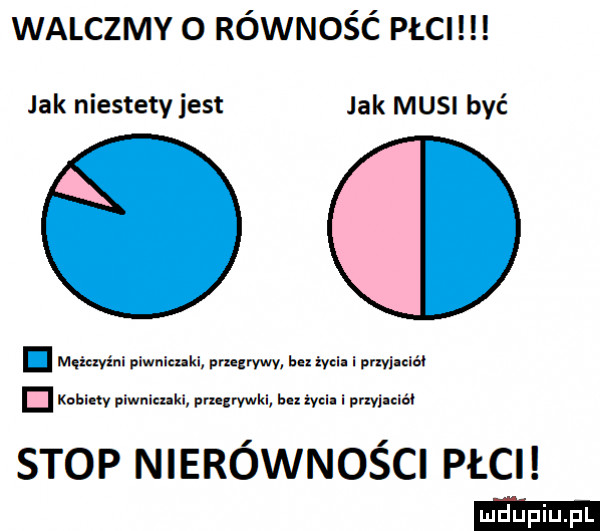 walczmy o równość płci jak niestety jest jak musi być. męiuyini piwniczki pmgrywy bu mi. i myjmm kabiny plwnkuki prz zrywki lm ml. i miniat stop nierówności płci