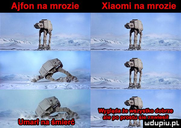 l dupqul