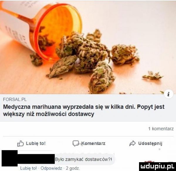 foksal pl medycyna marihuana wyprzedala się w kilka dni. popyt jest większy niż możliwości dostawcy   komentarz if lubię lo   komentar ó udostępnij było zamykać acuslawcfm n i naw oupmedz jgnd i illefiiij fl
