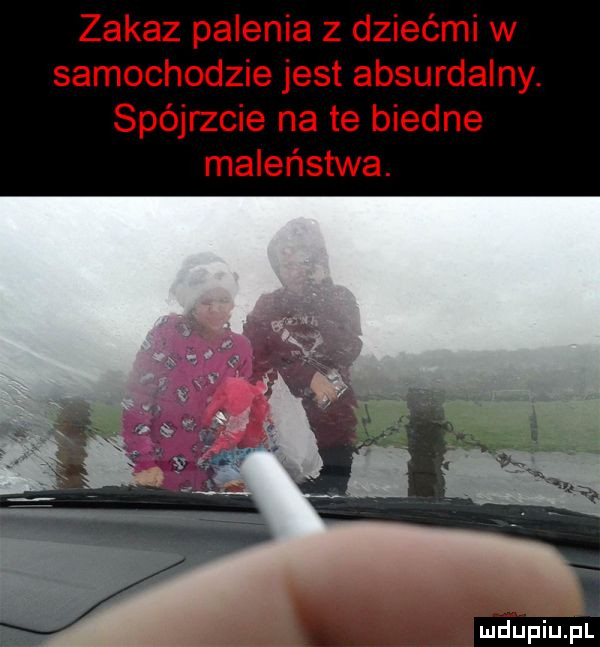 zakaz palenia z dziećmi w samochodzie jest absurdalny. spójrzcie na te biedne maleństwa