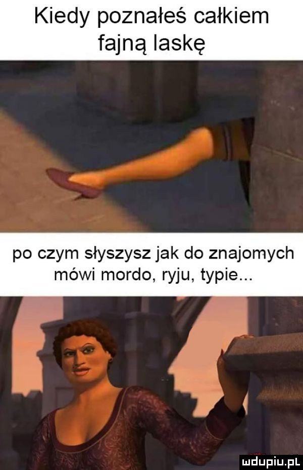 kiedy poznałeś całkiem fajna laskę po czym słyszysz jak do znajomych mówi mordo ryju typie