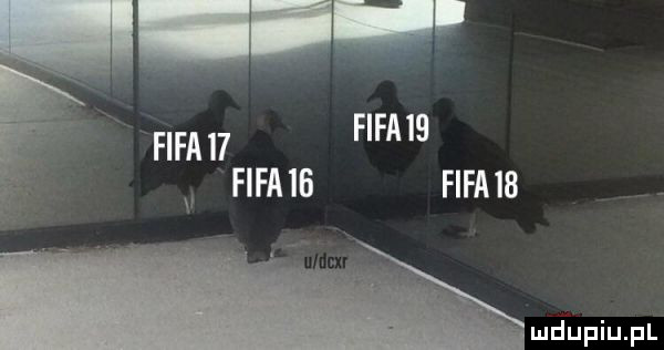 fifa    fifa ib fifa    r fifa l