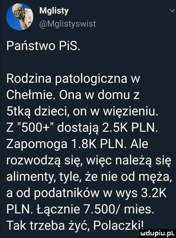 mglisty v mglistyswist państwo pis. rodzina patologiczna w chełmie. ona w domu z  tlą dzieci on w więzieniu. z     dostają    k pln. zapomoga    k pln. ale rozwodzą się więc należą się alimenty tyle że nie od męża a od podatników w was    k pln. łącznie       mies. tak trzeba żyć polaczki