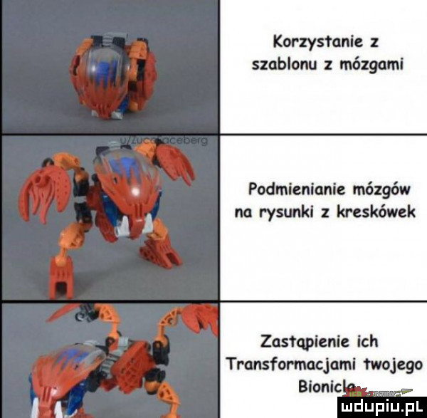korzys male szablonu   mózgami podmienionic mózgów na rysunki kreskówek zusłqplenie ich transfommcjaml twojego