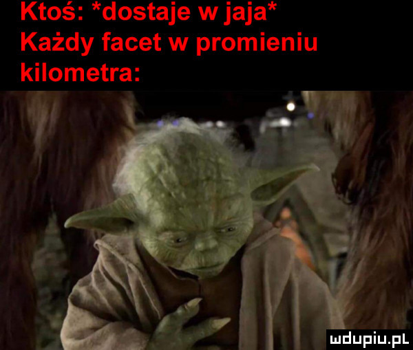 ktoś dostaje w jaja każdy facet w promieniu kilometra