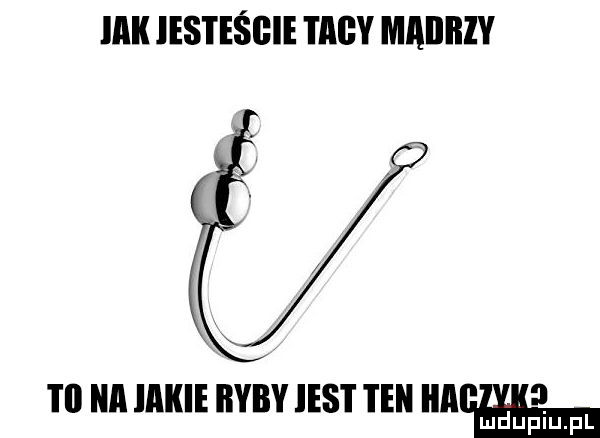 idk iesteśgie tacy maiibzy     a jakie ryby ihs i te