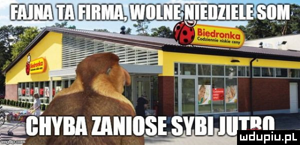 in. x u. o um ﬁbiiyba iaiiiosesyiiiiiiii mdupiupf