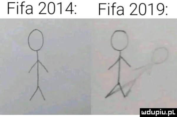fifa      fifa