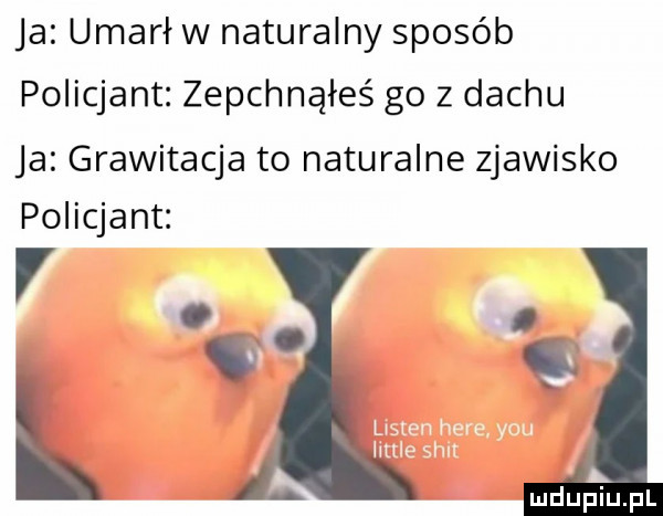 ja umarł w naturalny sposób policjant zepchnąłeś go z dachu ja grawitacja to naturalne zjawisko policjant