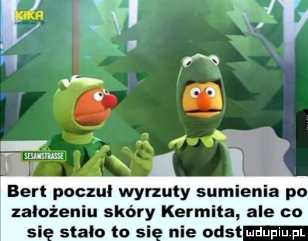 bert poczul wyrzuty sumienia po założeniu skóry kermita ale. co