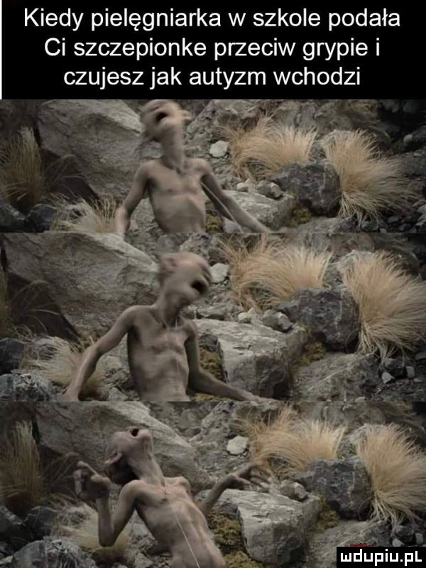 kiedy pielęgniarka w szkole podała ci szczepionkę przeciw grypie i czujesz jak autyzm wchodzi. abakankami t l v