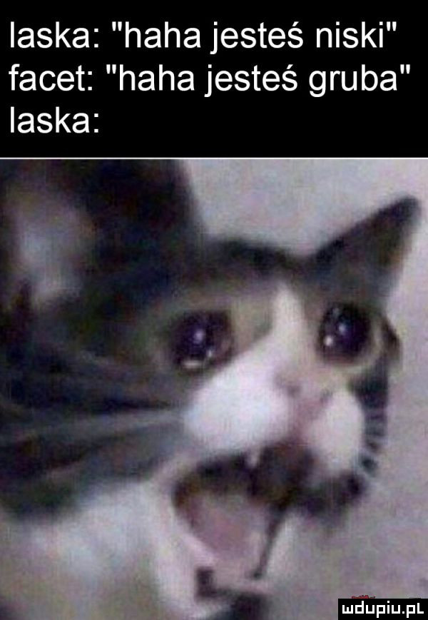 ilska haba jesteś niski facet haba jesteś gruba laska