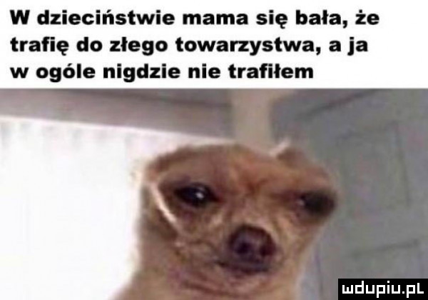 w dzieciństwie mama się bała że trafię do złego towarzystwa a ja w ogóle nlgdzle nie trafiłem