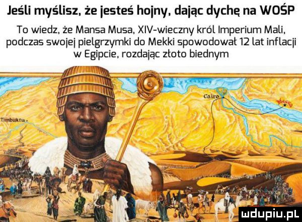 jeśli myślisz. że iesteś hojny dając dyche na wośp tu wiedz. że mansa musa. xiv wieczny król imperium mali. podczas swoje pielgrzymki do mekki spuwodowal    lat inflacji w egipcie. rozdając zloto biednym
