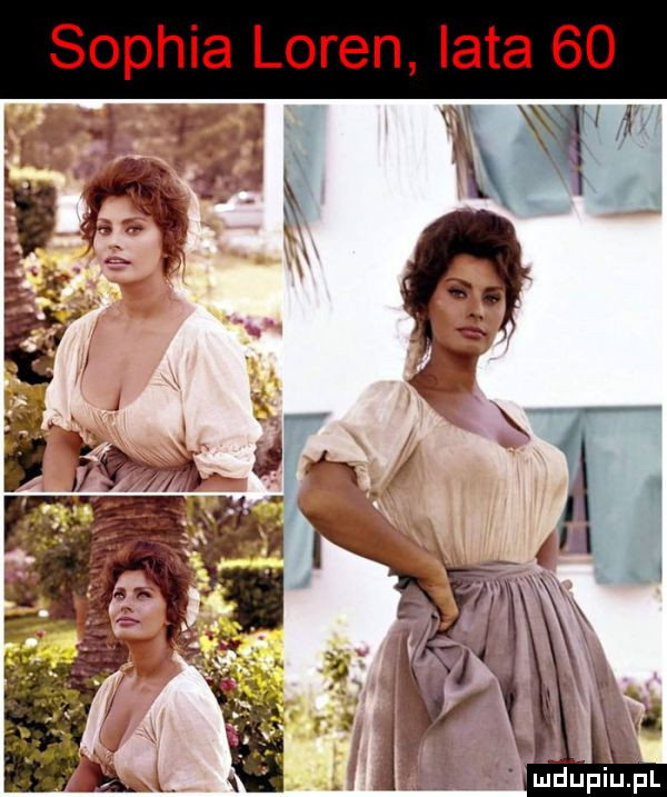 sophia loren lata