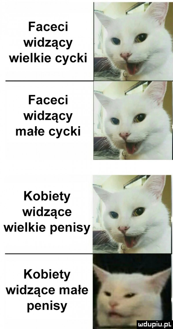 faceci widzący wielkie cycki faceci widzący małe cycki na kobiety   widzące. wieckie penisy kobiety widzące małe penisy