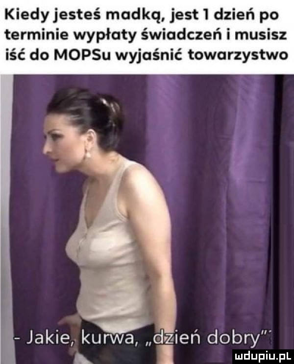 kiedy jesteś macu jest   dzień po terminie wypłaty świadczeń i musisz iść do mop-u wyjaśnić towarzystwo jakie kurwa ień dobry ludupiu. pl
