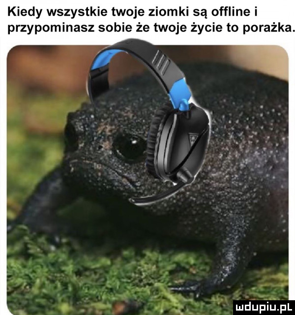 kiedy wszystkie twoje ziomki są offline i przypominasz sobie że twoje życie to porażka mdupiﬁpl
