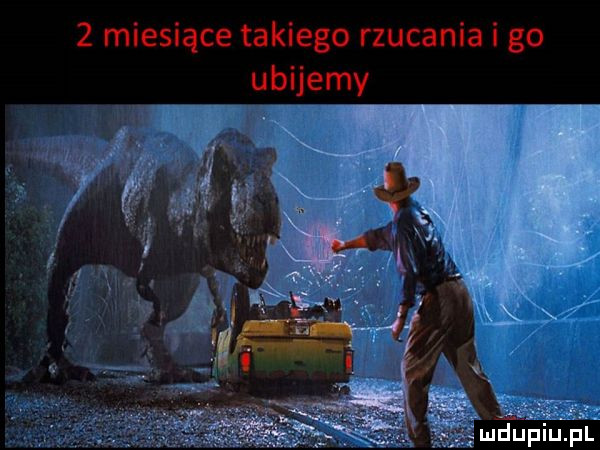 miesiące takiego rzucania i go ubijemy xm r ludupiupl