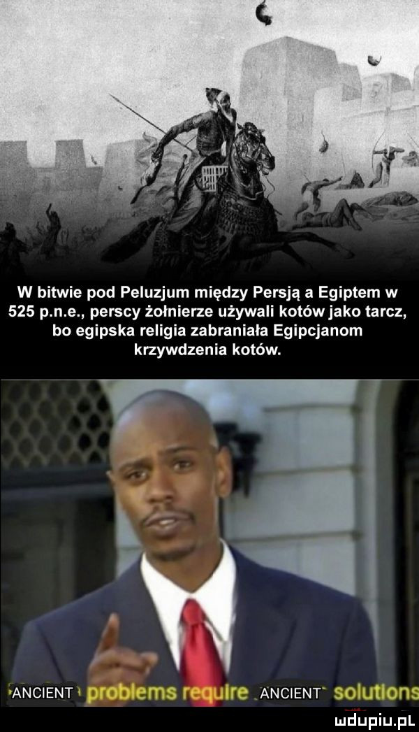 w bitwie pod peluzjum między persją a egiptem w     p n e perscy żołnierze używali kotów jako tarcz bo egipska religia zabraniała egipcjanom krzywdzenia kotów. w ancient ancient av