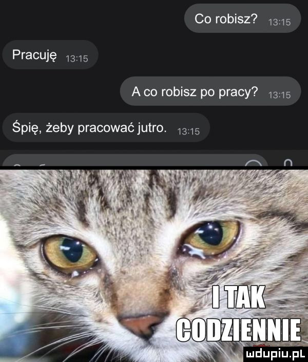 co robisz       pracuję      a co robisz po pracy ma śpię żeby pracowaćjutro.       ludupiu. pl