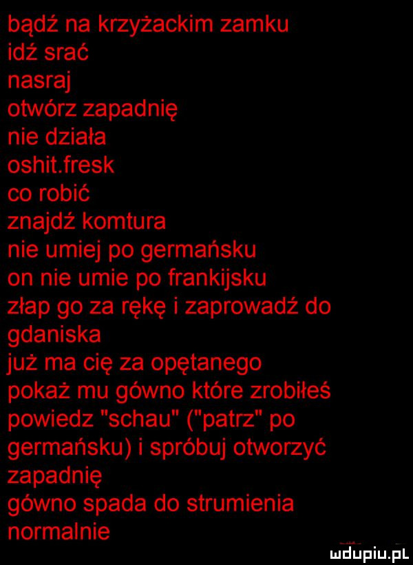 bądź na krzyżackim zamku idż srać nasraj otwórz zapadnię nie działa oshit fresk co robić znajdż komtura nie umiej po germańsku on nie umie po frankijsku złap go za rękę i zaprowadź do gdaniska już ma cię za opętanego pokaż mu gówno które zrobiłeś powiedz schau patrz po germańsku i spróbuj otworzyć zapadnię gówno spada do strumienia normalnie