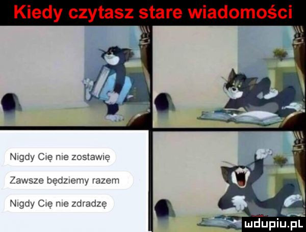 nidy cae me zastawę zawsze bedzwemy razem nidy cae me zdradza ludupiu. pl