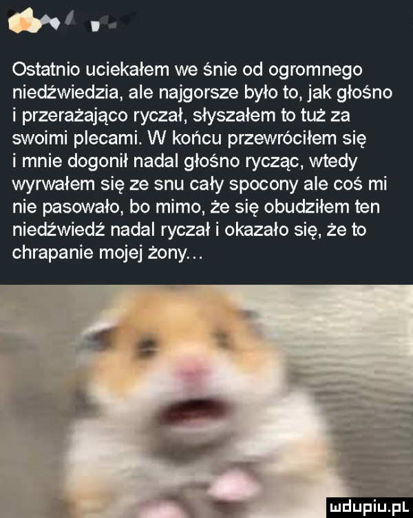 ostatnio uciekałem we śnie od ogromnego niedźwiedzia ale najgorsze było to jak głośno i przerażająco ryczał słyszałem to tuż za swoimi plecami. w końcu przewróciłem się i mnie dogonił nadal głośno rycząc wtedy wyrwałem się ze snu cały spocony ale coś mi nie pasowało. bo mimo że się obudziłem ten niedz wiedz nadal ryczał i okazało się że to chrapanie mojej żony. mru piupl