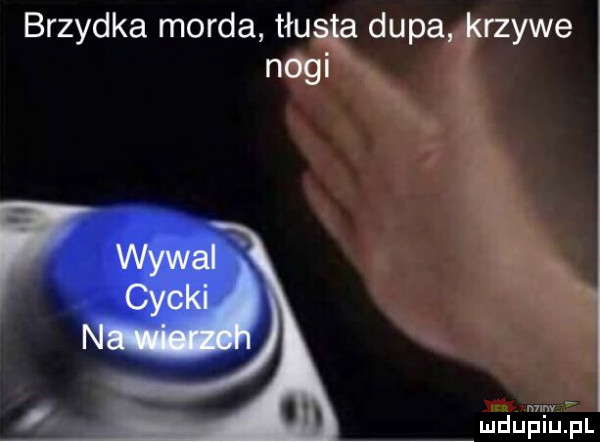 brzydka morda tłusta dupa krzywe nogi mdugiwlefl
