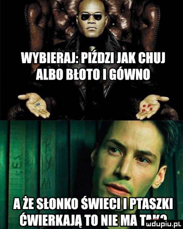 v     mammalian mu emu mu atutu lfanwun  x t pm a że słiiiikii ściegi i i i asiki świeilkala i il nie ma tkh fl