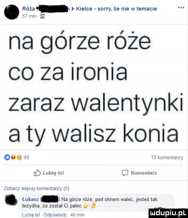 róża kielce sorry że nie w temacie    nn na górze róże co za ironia zaraz walentynki a ty walisz konia o.       kameniarzy gb lubię    o knmenlarz zobacz więcej knmeniarzy l . łukasz i na górze rdze. pod arnem walec jesteś idk brzydka. że znstai c palec o lubieiqr odpowmdz in mm mduplu pl