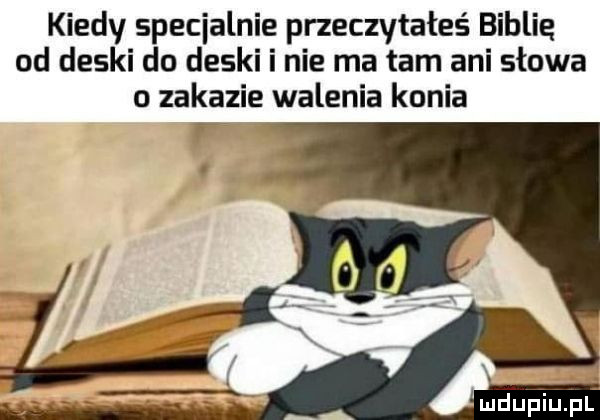 kiedy specjalnie przeczytałeś biblię od deski do deski i nie ma tam ani słowa o zakazie walenia konia