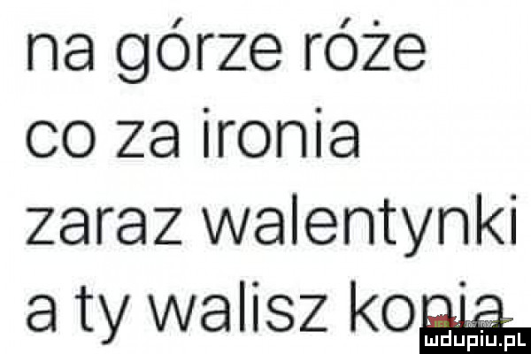 na górze róże co za ironia zaraz walentynki a ty walisz ko