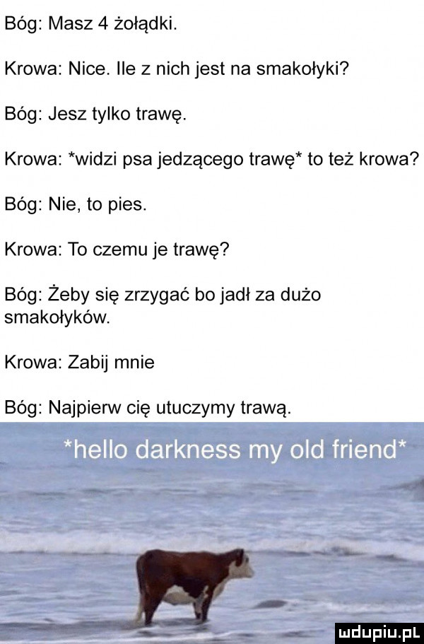 bóg masz   żołądki. krowa nice. ile z nich jest na smakołyki bóg jesz tylko trawę krowa widzi psa jedzącego trawę toteż krowa bóg nie to pies. krowa to czemu je trawę bóg żeby się zrzygać bo jadł za dużo smakołyków. krowa zabij mnie bóg najpienn cię utuczymy trawą. x