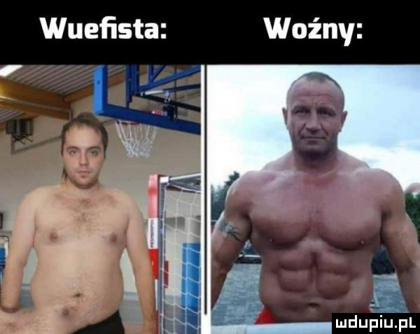 wuefista woźny