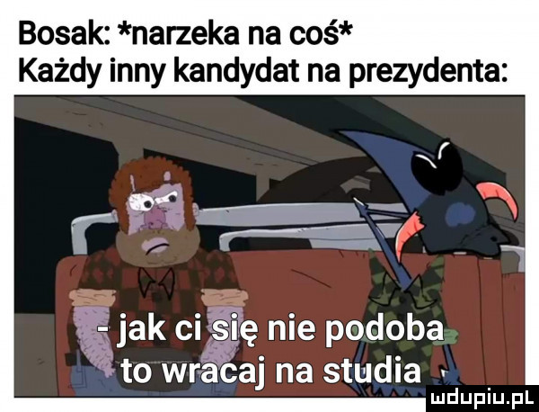 bosak narzeka na coś każdy inny kandydat na prezydenta jak ci się nie podoba to wracaj na studia