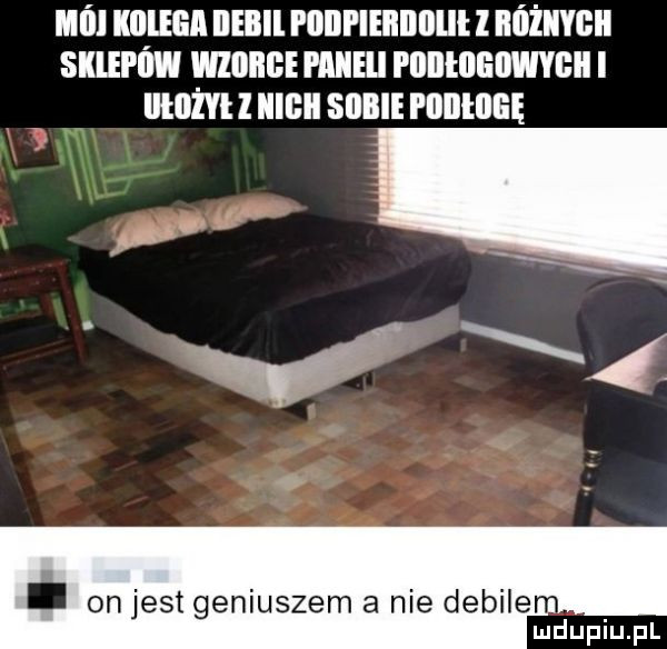 ml kolega iieilil pllllpleilllllllll iiiiżiivgii sklepów widiige piiiieli i llllłlleilwyliii i ham i iiigii sobie pllllllllię on jest geniuszem a nie debile