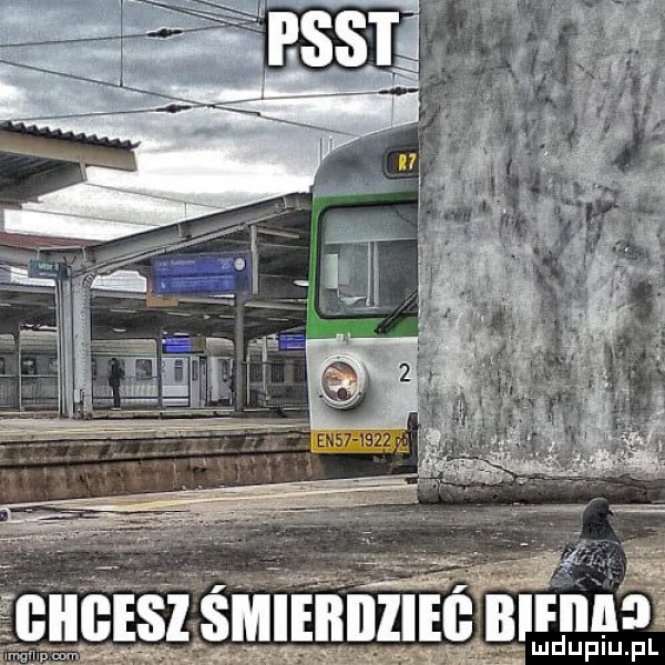 iﬂﬂbesl śmieiłillieś biom  . w wam manów fl