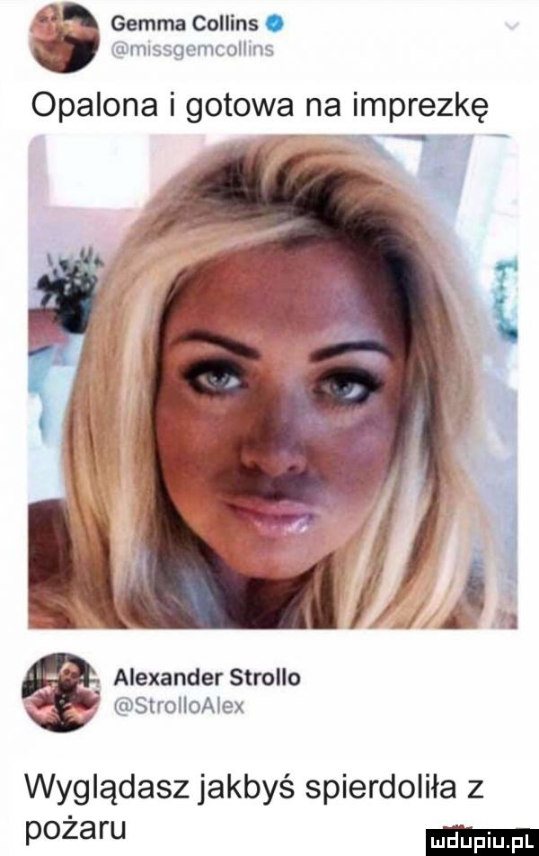 a gemma collins. mlssgemcollms opalona gotowa na imprezkę alexander strollo strolioalex wyglądasz jakbyś spierdoliła z pożaru