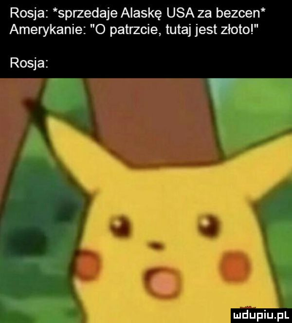 rosja sprzedaje alaskę usa za bezden amerykanie o patrzcie tutaj jest zloto rosja mntupiuąil